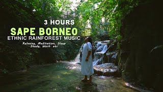 Download lagu 3 Hours Sape Borneo Ethnic Music | Rainforest Vibes For Meditation, Relaxing, Mindfulness. etc mp3