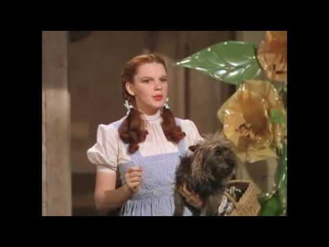 231MPA - Wizard of Oz