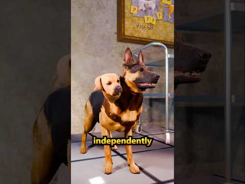 The Two Headed Transplanted Dog