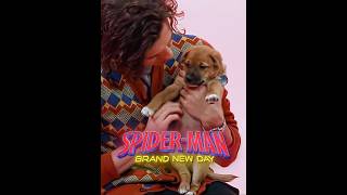 Tom Holland Playing With Puppies 😂🔥 #spiderman #tomholland #shorts