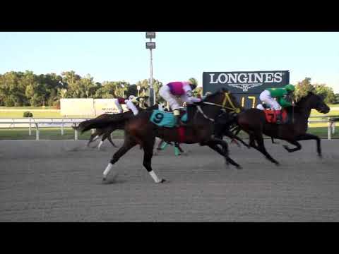 220313 c09 MARAVILLA VAN