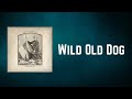 Patty Griffin - Wild Old Dog (Lyrics)