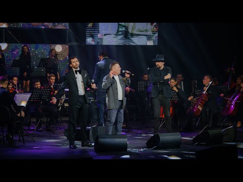 Chemarea casei - Nicu Țărnă & Vladimir Fotescu & Gicu Cimbir (Ștefan Petrache Tribut)