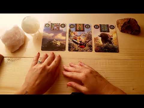 Tagesorakel 19.8.24🌻Steh' drüber, dann hast du es geschafft!