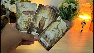 REVELAÇÕES das PRÓXIMAS 72H pra VC!🪭🍀🌹