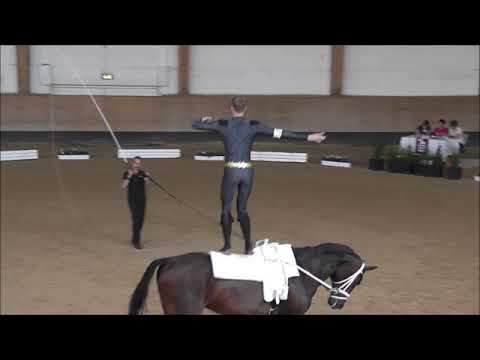 Bayerische Meisterschaften Voltigieren 2018 - Gregor Klehe