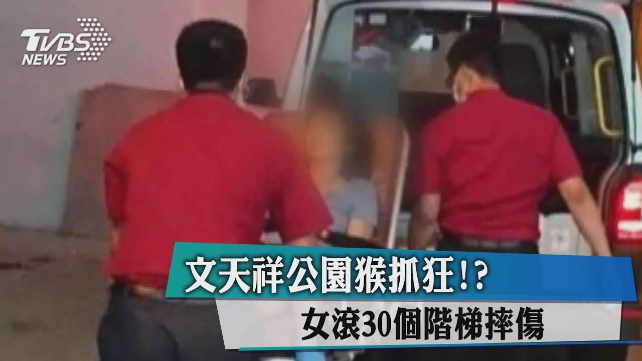 文天祥公園猴抓狂!? 女滾30個階梯摔傷