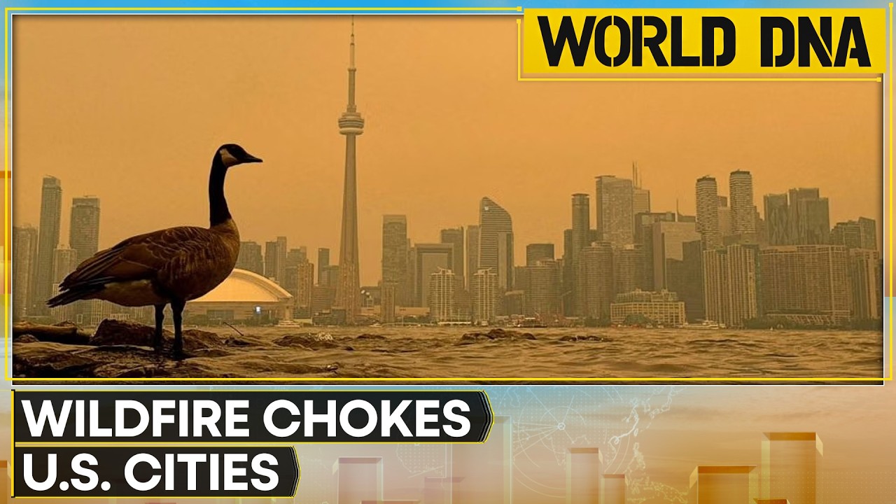 Canadian Wildfires Trigger Air Quality Alerts in the US | World DNA