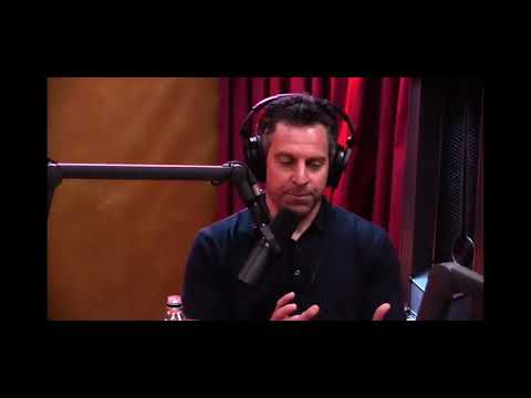 Sam Harris basically unlocks the secret to life