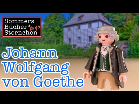 Johann Wolfgang von Goethe to go (Kurzbiografie in 9,5 Minuten)