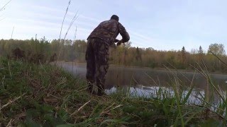Ловля голавля на лягушку весной