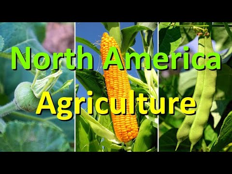 Which region of North America contains the most important agricultural area in the kingdom?