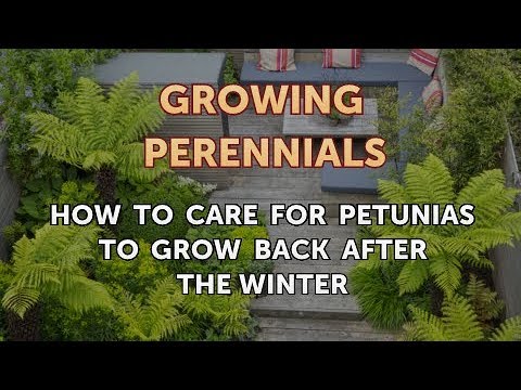 Can I Propagate a Peony From a Cutting