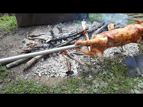 Testiranje Ljubovija 21.07.2018