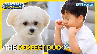Jungwoo Crawls, Cleans, Does It All for Puppy [The Return of Superman:Ep.630] | KBS WORLD TV 260802