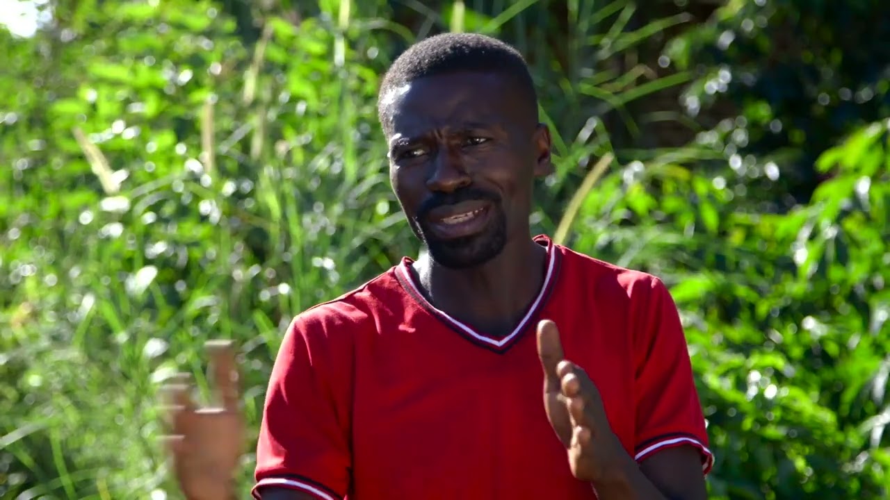 SSU Uganda  Farm 20 - Lavasco - Certified Beans (Lug)