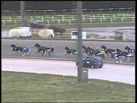 Trotto 22/02/2015 - 2° corsa