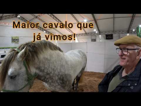 TEUTÔNIA RS E A SUA FESTA DE MAIO!