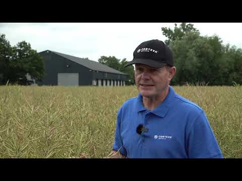 Follow the Crop video: Andy Stainthorpe
