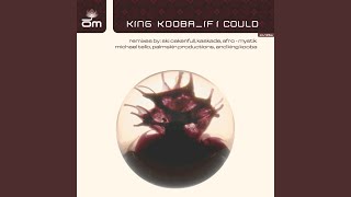 If I Could (Palmskin Productions Mix)