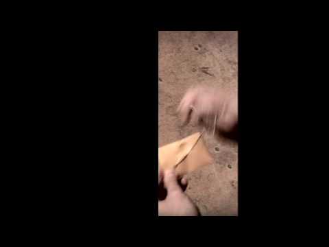 Wayne Houchin: Art of magic  |  teaser 1