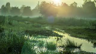 Wyclef Jean   My Girl Mangazi Flip [long edit]