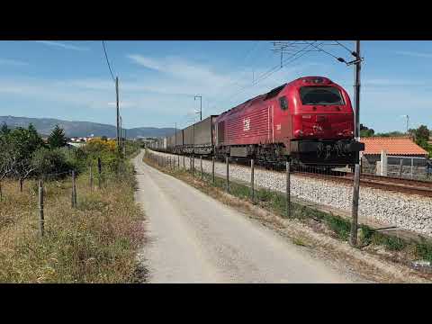 Comboio Especial n.º 98204/5 - Lardosa