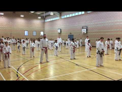 50 Man Team Taekwon-Do Pattern - Chon Ji Tul