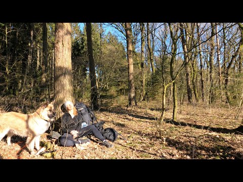 Heidschnuckenweg Etappe 1 mit overnighter