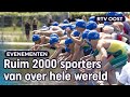 Ruim 2000 sporters en top sfeer bij Triathlon Holten | RTV Oost