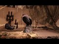 Video: Thumbnail - Cawing Raven Decoration