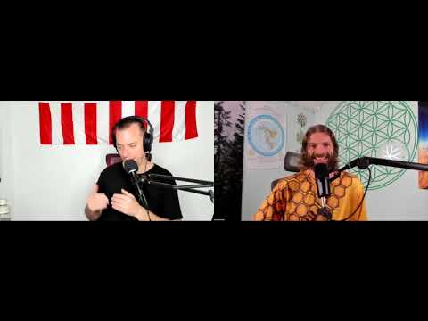 brandon-joe:williams - How to have infinite money and how to have your own nation