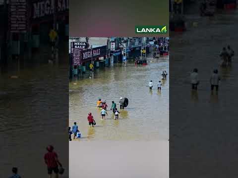 வெள்ளத்தால் சூழப்பட்ட கொழும்பு - முக்கிய வீதிகள் முடக்கம் | Lanka4 Tamil News