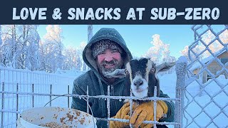 Alaska Cabin Life Caring for Animals at Below Zero Temperatures