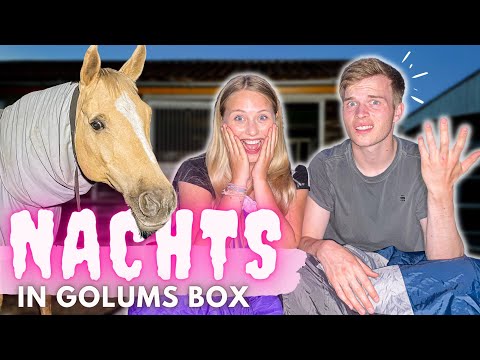 EINE NACHT IN GOLUMS BOX!!!😱