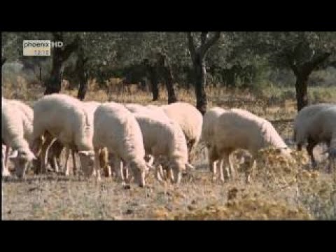 Elba Insel der Eroberer mareTV HD Doku