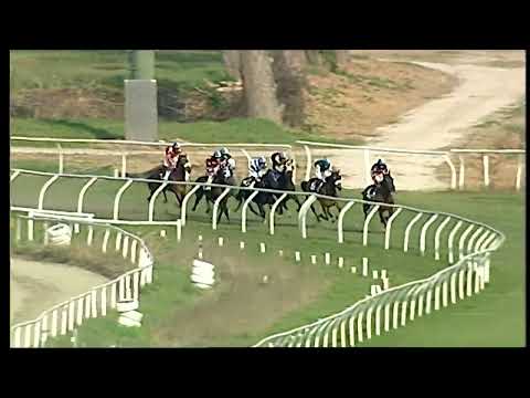 Napoli Galoppo 12/03/2022 - 4ª corsa