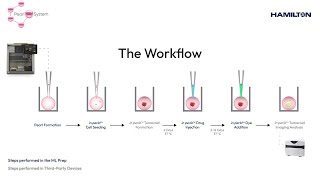 Automated In Perlo Model for 3D Cell-based Drug Screening