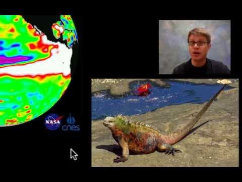 生態系統變化 (Ecosystem Change)