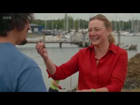 Digging For Britain S13E3 | A Mysterious Bone Box and Admiral Nelson's Favourite Ship