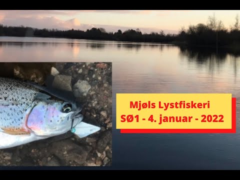 Mjøls Lystfiskeri i Rødekro – SØ1