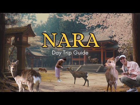 Ultimate Day Trip from Osaka to Nara, Japan 🇯🇵 The City Where Deer, Temples, and People Coexist