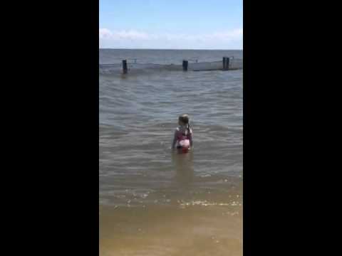 Kids playing on the beach