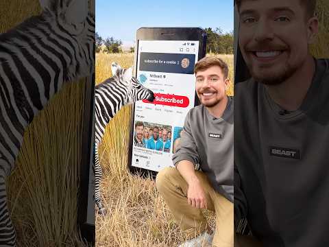 Will a Zebra Subscribe to me?