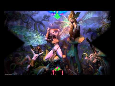 Metaphyz - Jungle's Rules