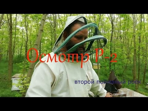 Осмотр Р-2