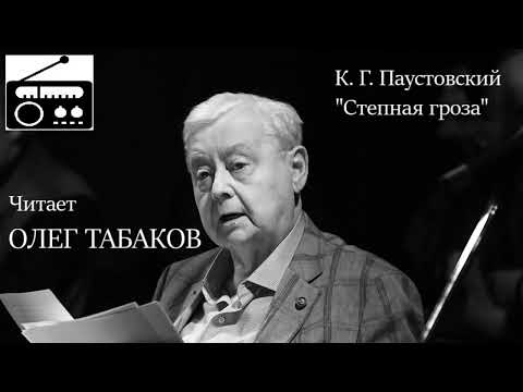 📻К. Г. Паустовский. "Степная гроза".