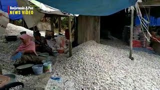 Batu Putih dari Pendulangan Intan Jadi Penghias Taman