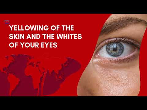 Hepatitis Symptoms  Promo Ads