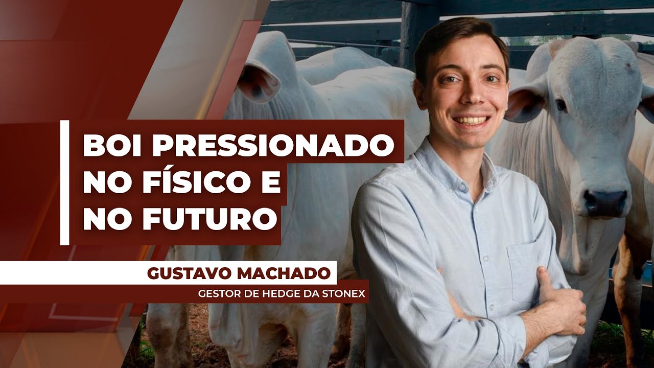 Mercado futuro do boi está mais pressionado do que o físico, exigindo comercialização mais...